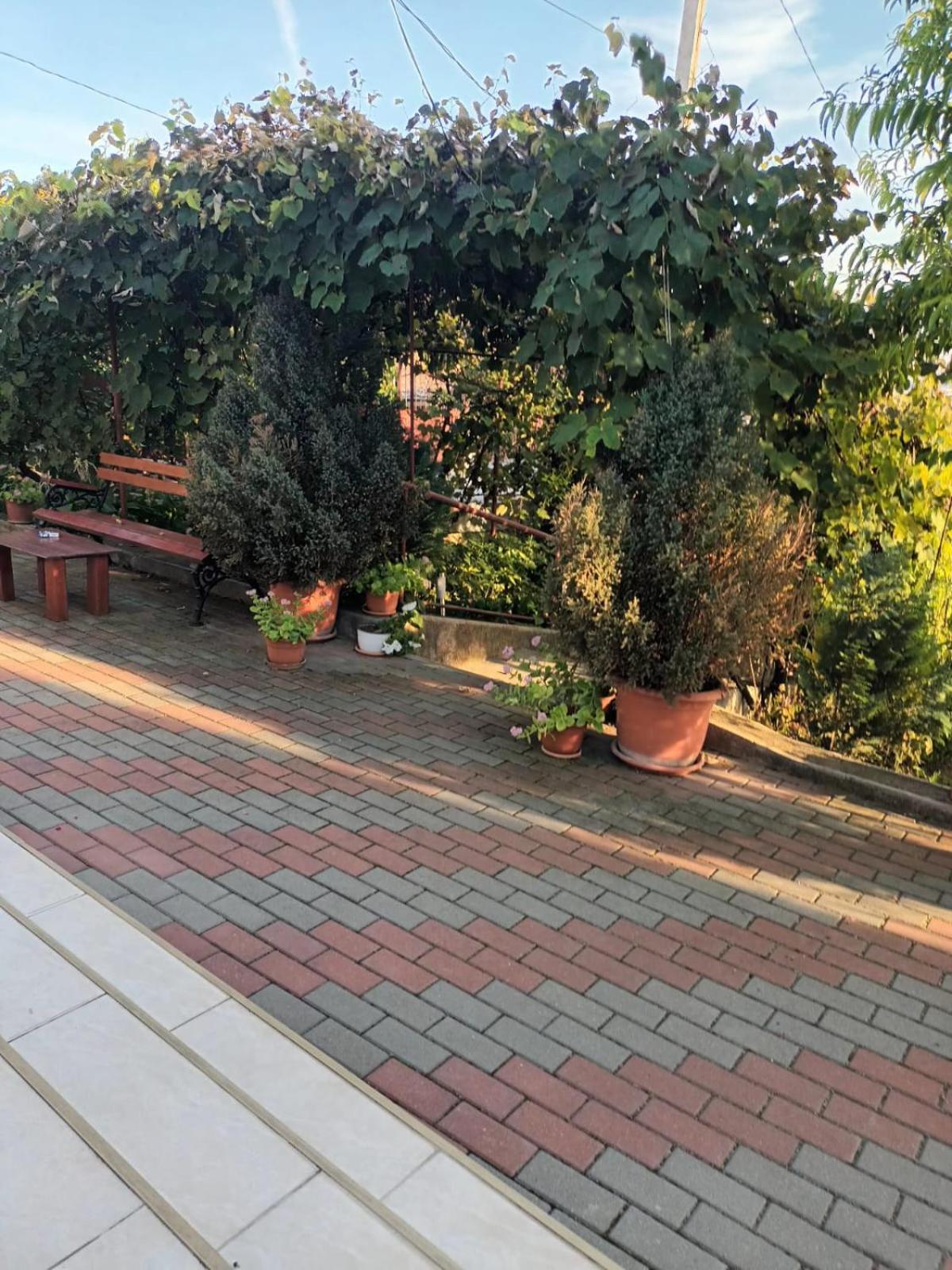 Casa Matei Villa Turda Exterior photo